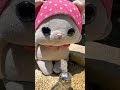 きょうもあついにゃん #cute #happy #toys #ぬいぐるみ