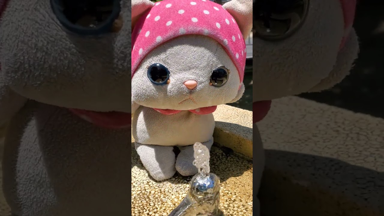 きょうもあついにゃん #cute #happy #toys #ぬいぐるみ