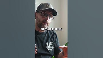 Are You Having Grainy Prints?