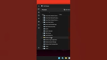 Tabs not Showing in File Explorer on Windows 11 [Fix]