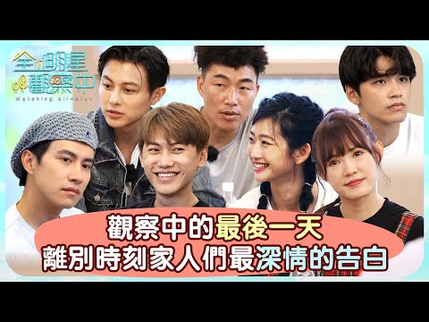 【全明星觀察中2】觀察中的最後一天，離別時刻家人們最深情的告白
