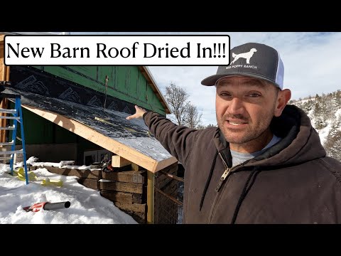 #544 - New Barn Roof Dried In Just In Time (2 Feet of Snow!) Plow Truck Problems...