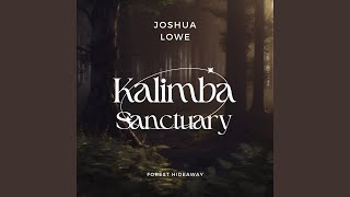 Mystic Embrace - Joshua Lowe