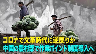コロナで文革時代に逆戻りか　中国の農村部で作業ポイント制度導入へ