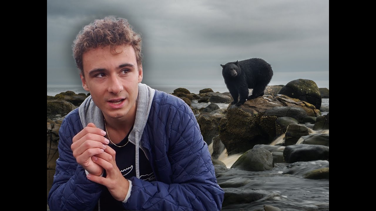 BC Coast Wildlife Photography Road Trip