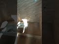Bhatroom wall tiles and floor #tiles #trending #trendingshorts #shortsfeed #viral #video #shorts