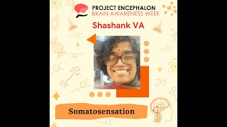 Somatosensation - Shashank VA