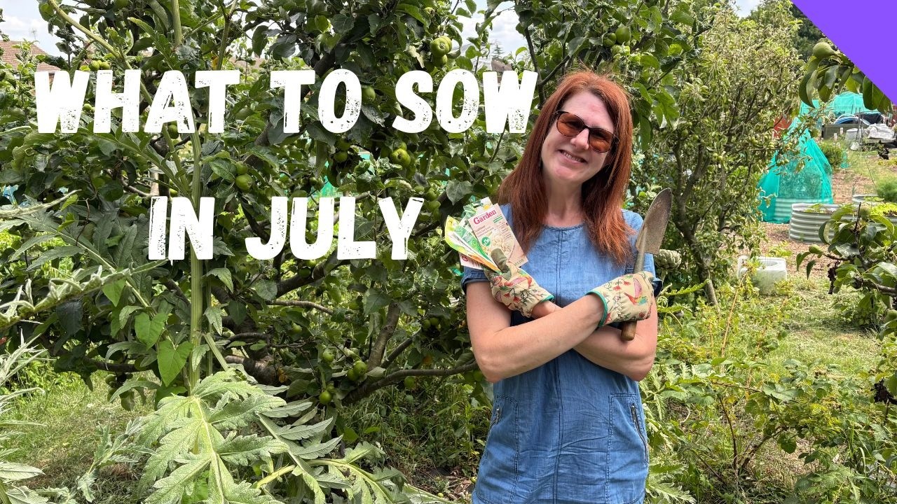 What To Sow In July - Allotment Gardening For Beginners UK - YouTube