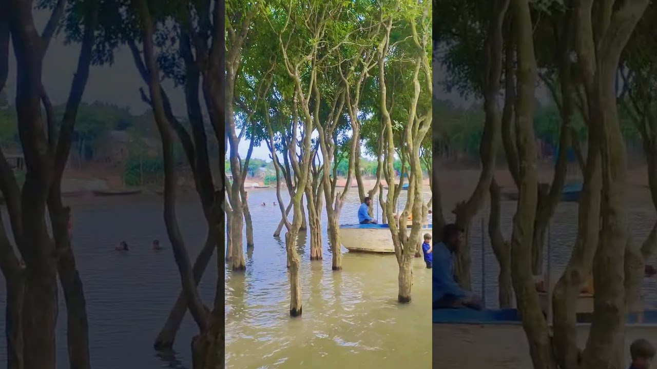Nikli Haor & Mithamoin, Kishoreganj, Bangladesh