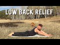 Quick lower back pain relief  beginner yoga stretch workout  sean vigue fitness