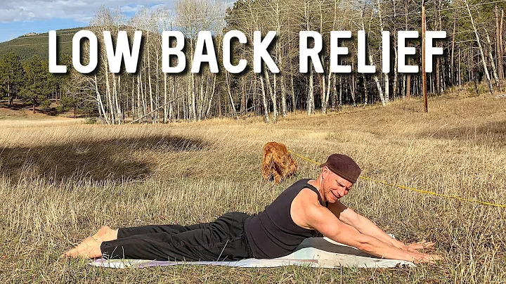 Quick Lower Back Pain Relief | Beginner Yoga Stret...