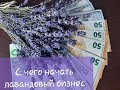 С чего начать лавандовый бизнес.