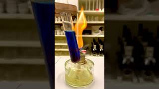 natural science teacher