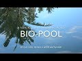 How to Build a 100% Chemical Free Natural BioPool