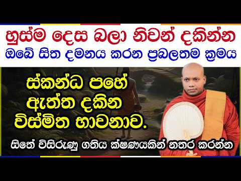 ආනාපානසති භාවනාවෙන් විදර්ශනාවට මග | Hasalaka Seelawimala Thero | 3051