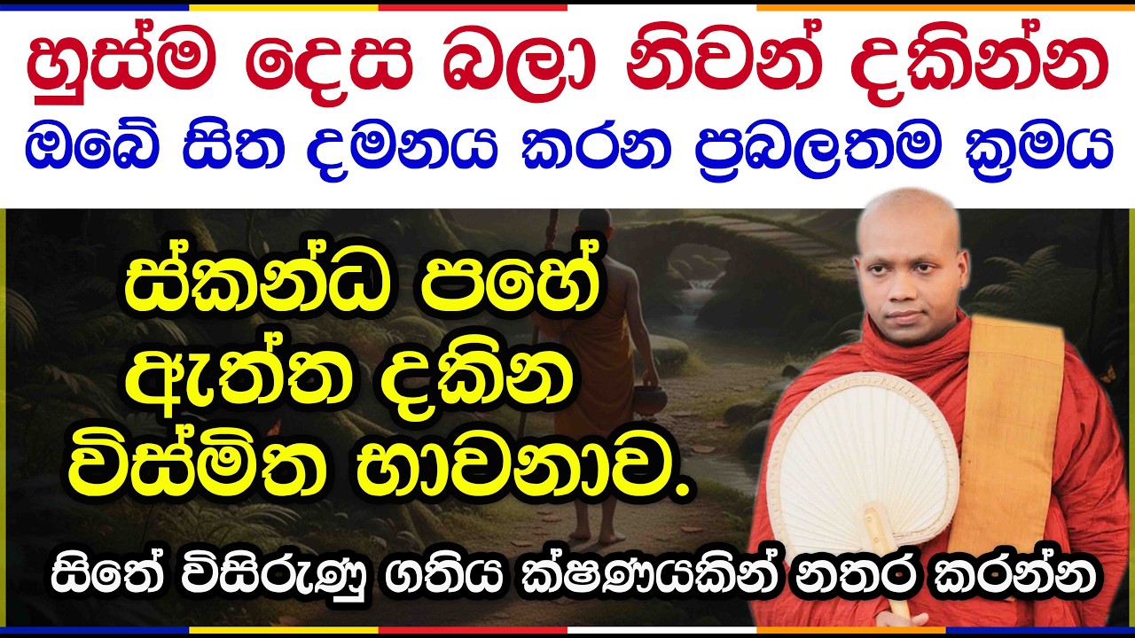 ආනාපානසති භාවනාවෙන් විදර්ශනාවට මග | Hasalaka Seelawimala Thero | 3051