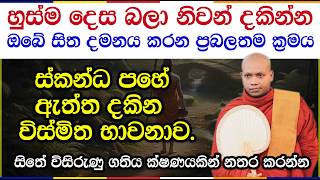 ආනාපානසති භාවනාවෙන් විදර්ශනාවට මග | Hasalaka Seelawimala Thero | 3051