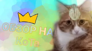 Обзор На Кота✌️😎