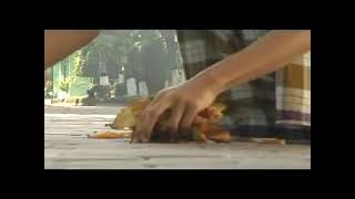 Download Lagu KESEMPURNAA hidup di dunia🙏🏻 MP3