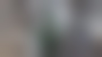 DARKOTIC Splattering Targets - Primal Cut