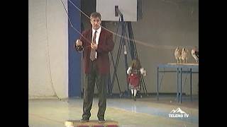 CASTING DE PLUMA Y PESCA (ASTORGA 1997)
