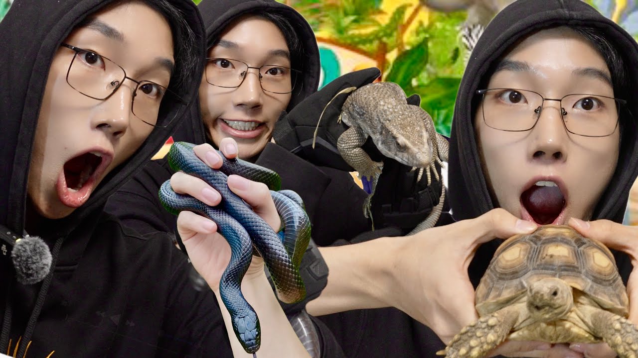 Таясун могой, гүрвэл, мэлхий тэжээв.