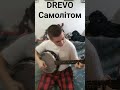 Древо Самолітом на банджо #drevo #новамузика #cover
