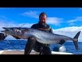 Подводная Охота. Азорские Острова. Spearfishing in the Azores Pico Islands 2015