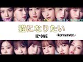 [日本語字幕・カナルビ]猫になりたい-Koreanver.-/IZ*ONE(アイズワン)