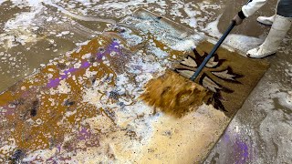 You Won't Believe The Colours Hiding Underneath All This Soil-ASMR Cleaning -Satisfying Video