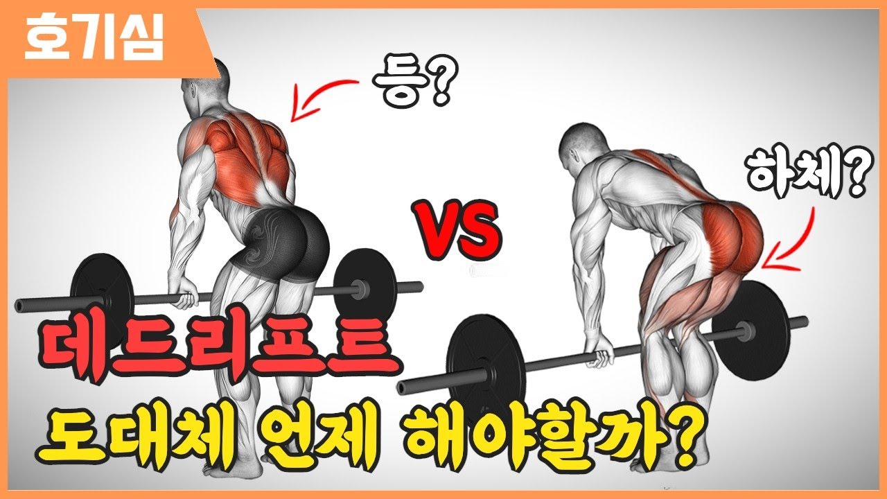 데드리프트 과연 언제 해야할까? 등 운동 vs 하체 운동