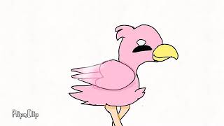 Part 16 23 flamingo