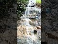 Hidden Waterfall in the Jungle 🌊 #relax #nature #asmr