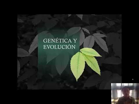 Vídeo: Conectividad Genética Y Evolución Enzimática En La Red Metabólica Humana