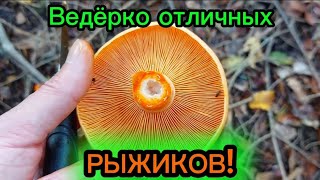 :   ! 