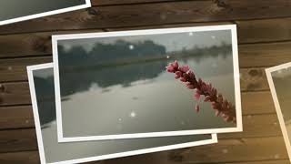 Review || Photos shots on Vivo v9 pro || with an AI processor screenshot 5