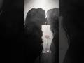 #rose #love #gulabi #couple #viral