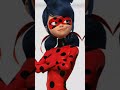 Ladybug 🐞🐞