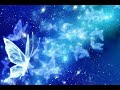 東京ナイトバタフライ／森本英世.cover