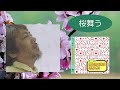 沢田研二 「桜舞う」&歌詞 熟年ジュリーのラブソング1