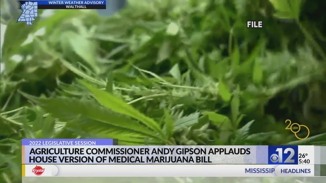 New center advances medical cannabis science, education at Ole Miss