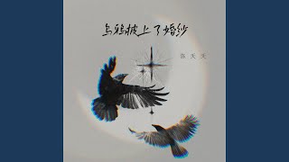 乌鸦披上了婚纱