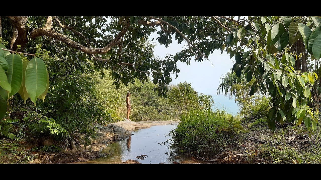 Introduction en permaculture Tropical