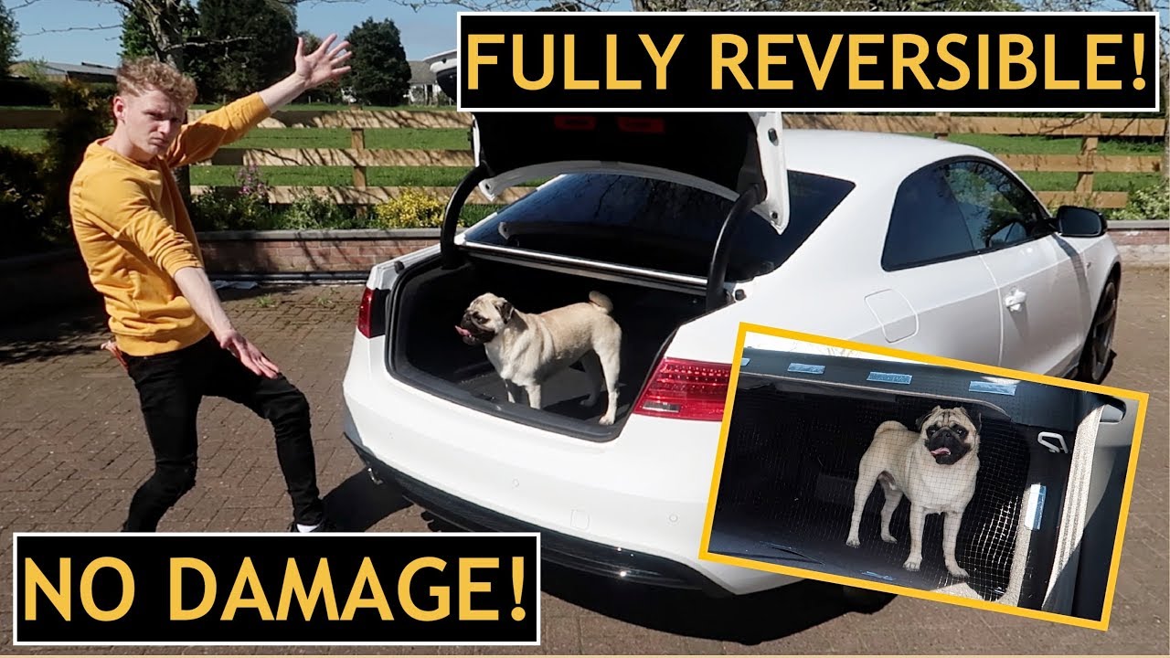 dog travelling in car boot law