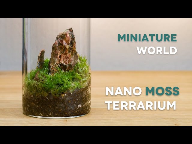 DIY Desk Terrarium Brings Your Workstation to Life - Nerdist