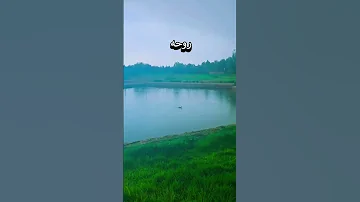 سيدي قصدك عبد روحه لديكوقياده بيدك واشتياقه اليكواحسرتاه عليه ليله ارق ونهاره قاقواحشاءه تحترق 