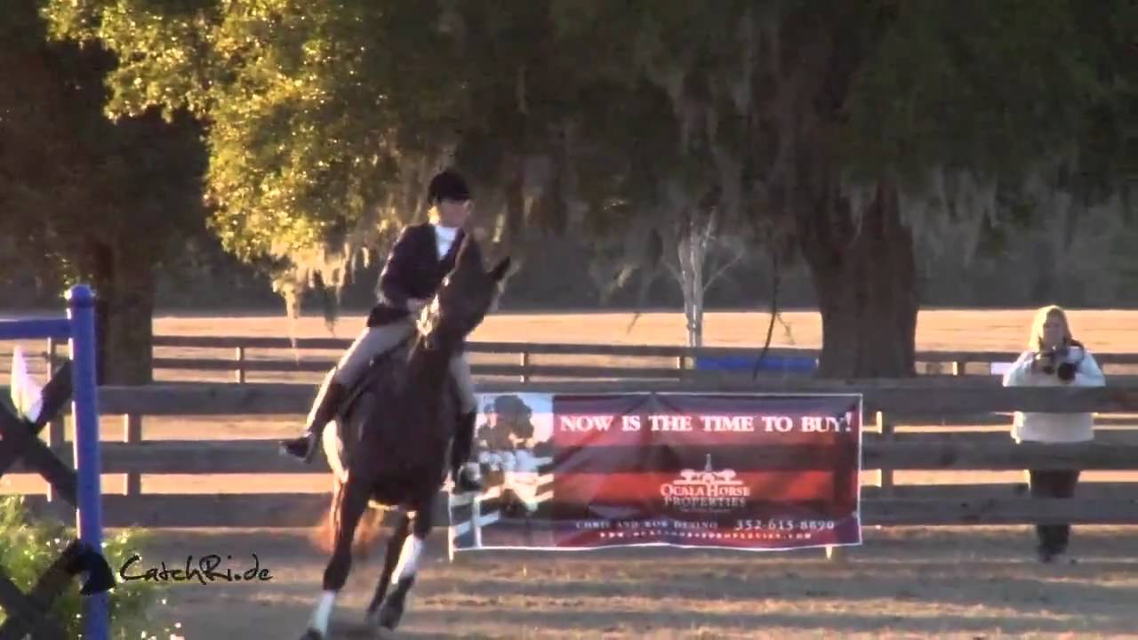 Ocala Horse Trial BNR Beginner Novice Show Jumping YouTube