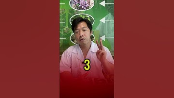 M..ẹo tiện ích gửi tới bà con cô bác#não #xươngkhớp #duocsiquan