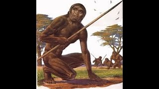 ENG 3. The Evolution of Our Own Species.