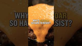 Cheddar Cheese — Protein-Packed or Calorie Trap? #food #shorts #viral #cheddarcheese #bitetruthx Cheddar Cheese — Protein-Packed or Calorie Trap? #food #shorts #viral #cheddarcheese #bitetruthx
